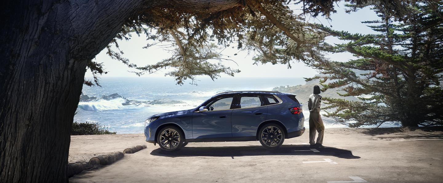 X3 PHEV