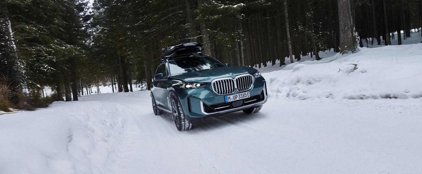 bmw-hiver