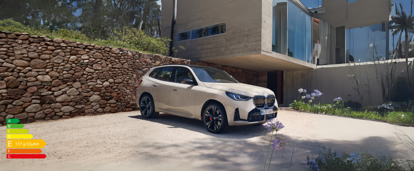 Véhicule BMW X3